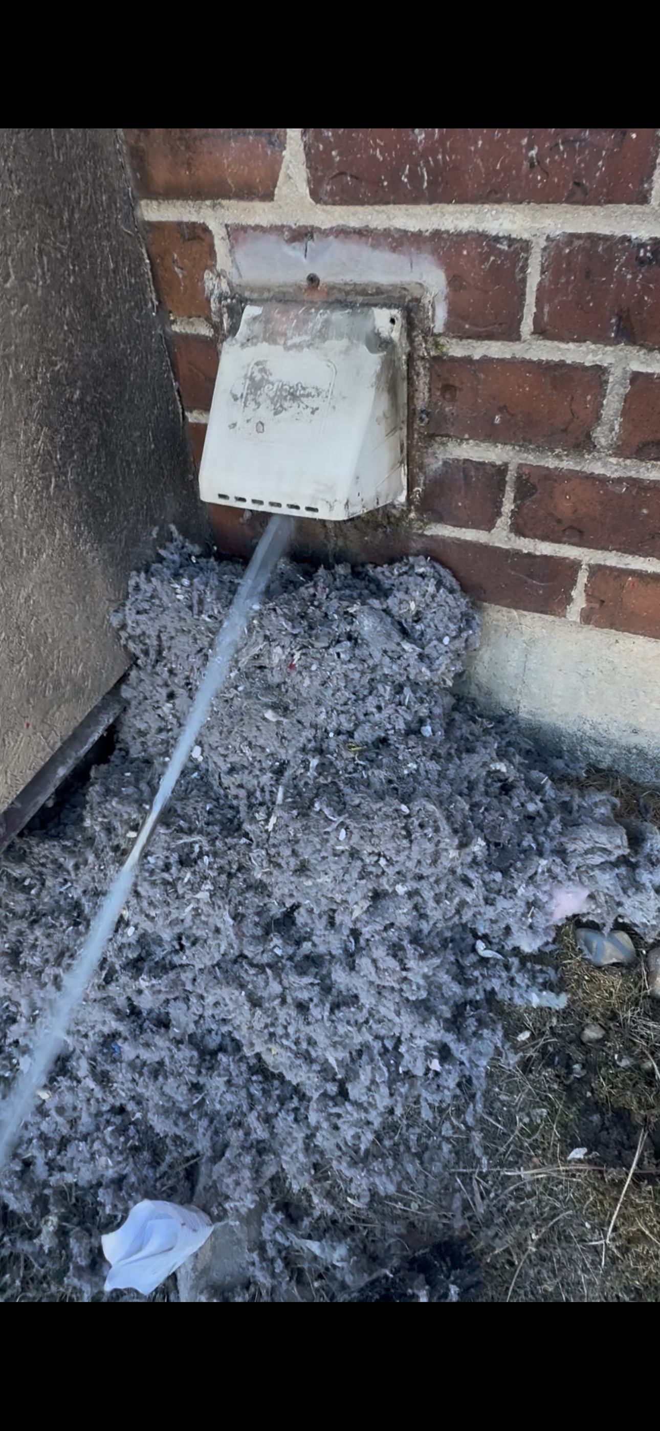 Large pile of lint debris removed from dryer vent