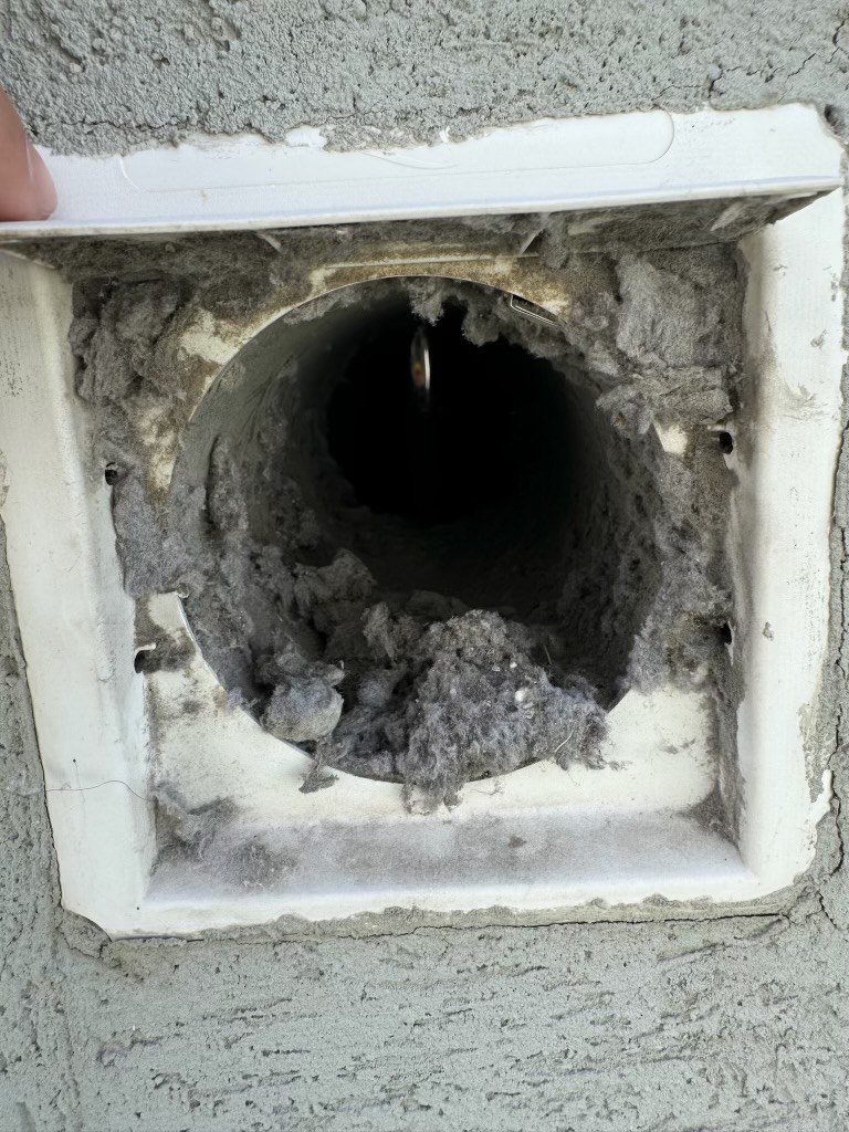 Badly clogged dryer vent exterior before cleaning